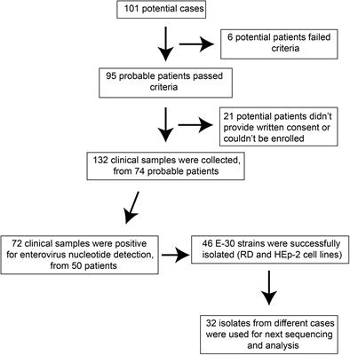 A Large-Scale Outbreak of Echovirus 30 in Gansu Province of China in 2015 and Its Phylodynamic Characterization